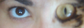 MIs ojos de asombro...